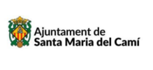 ajuntament santa maria